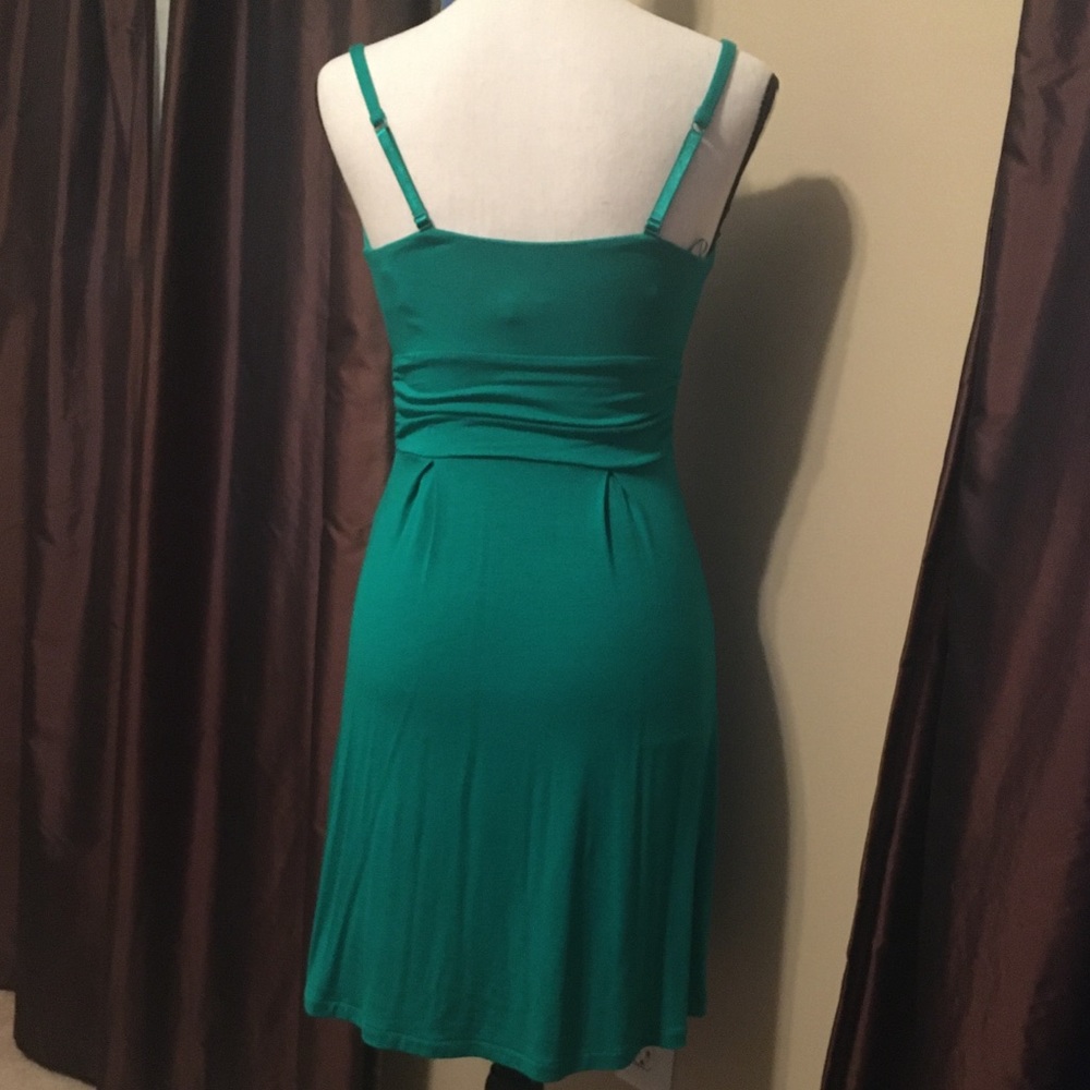 Express Spring Dress - Picture 4 of 5